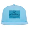Flat Hat