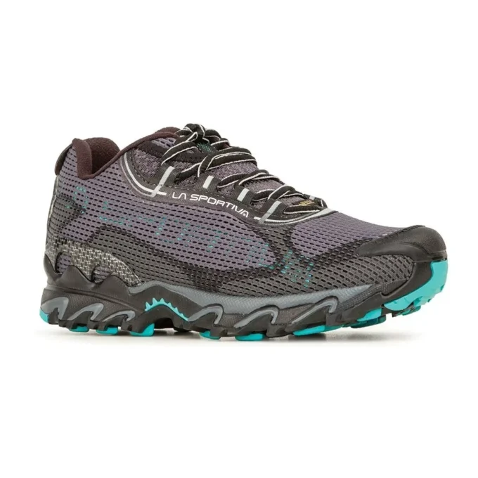 Wildcat 2.0 GTX Womens (2023) Wildcat 2.0 GTX Womens (2023)