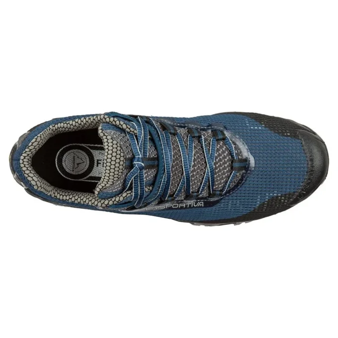 Wildcat Wildcat